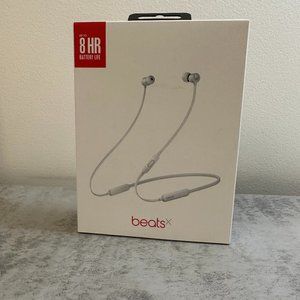 beatsx by dr.dre in silver